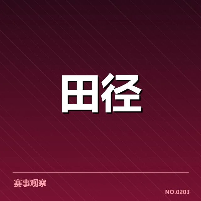 国际比赛中的具体成绩表现
